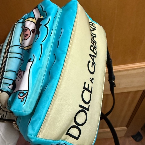 Dolce & Gabbana Year of the pig nylon Beige and Blue Cartoon Backpack main image 10